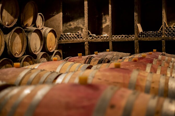 Full-Day Private Wine Tour in Côte De Nuits - Good To Know