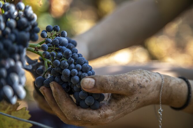 Full-Day Private Wine Tour in Côte De Nuits - Directions