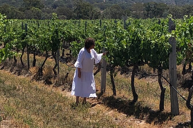 Full-Day Private Wine Tour of the Stanthorpe Area With Lunch - The Sum Up