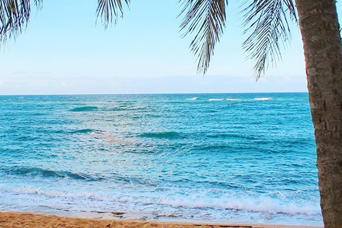 Full-Day Puerto Rico Tour: Rainforest Zipline, Luquillo Beach & Natural Springs - Cancellation Policy