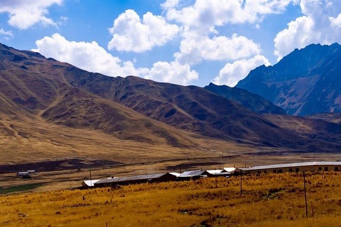 Full-Day Puno to Cusco Coach Ride With Lunch - Customer Reviews and Testimonials