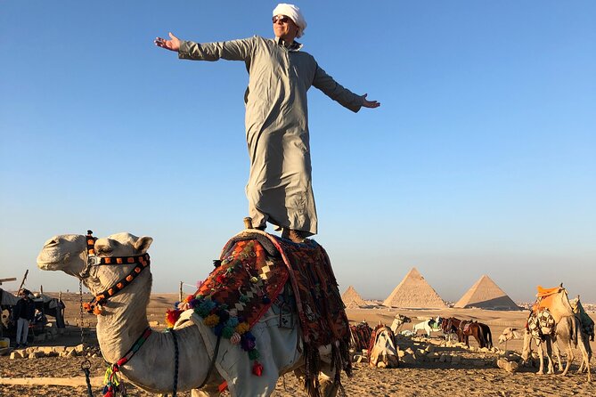 Full Day Pyramids,Sphinx , New Muesum of Civilization , Private Guide - Overview of Pyramids and Sphinx