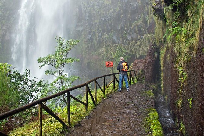 Full-Day Rabaçal Levada Walk From Funchal - Information and Mixed Reviews