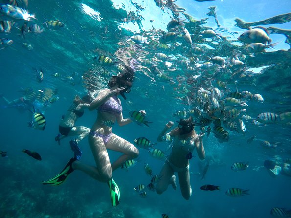 Full-Day Racha Noi and Racha Yai Snorkeling From Phuket - Meeting and Pickup