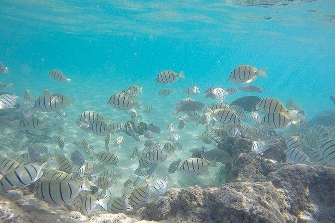 Full-Day Racha Noi and Racha Yai Snorkeling From Phuket - Racha Noi and Racha Yai Snorkeling Sites