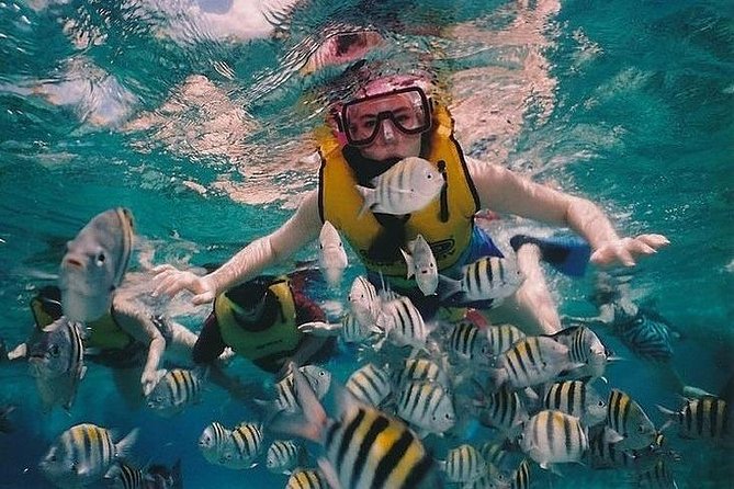 Full-Day Racha Noi and Racha Yai Snorkeling From Phuket - Tips for a Memorable Snorkeling Experience