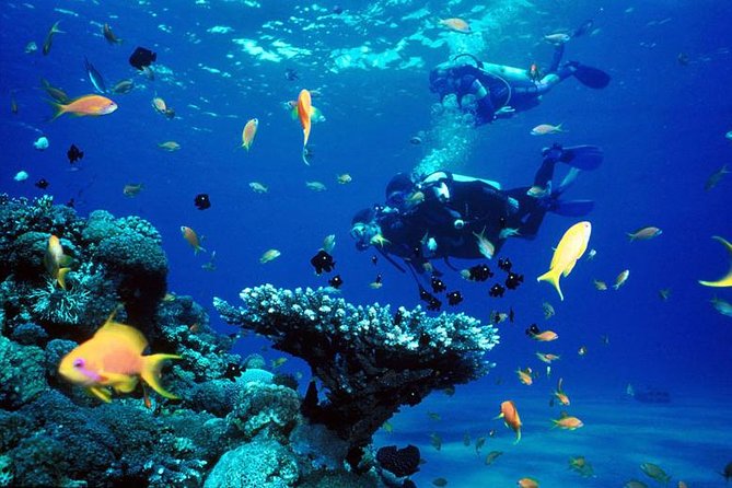 Full-Day Racha Yai Private Scuba Diving Course From Phuket - Pickup Details and Cancellation Policy