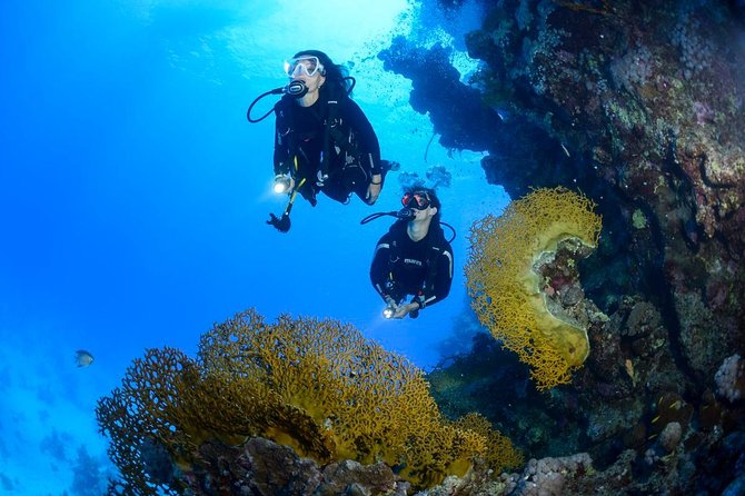 Full-Day Racha Yai Private Scuba Diving Course From Phuket - Reviews and Ratings