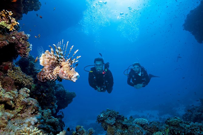 Full-Day Racha Yai Private Scuba Diving Course From Phuket - Review 1