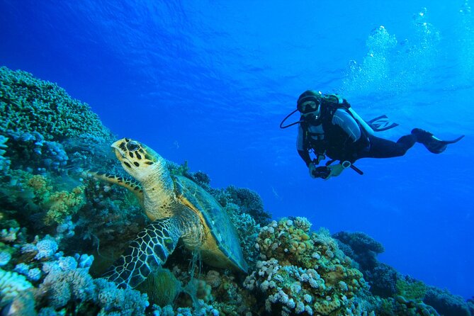 Full-Day Racha Yai Private Scuba Diving Course From Phuket - The Sum Up