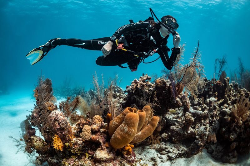 Full Day Racha Yai Scuba Diving Course All Inclusive from Phuket - Racha Yai makes a good first step underwater