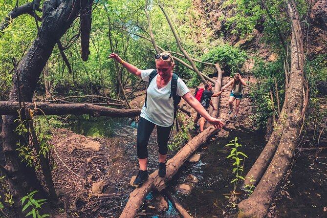 Full Day Rainforest Tour With Tasting and Swimming Time - Tour Details