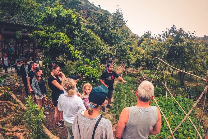Full Day Rainforest Tour With Tasting and Swimming Time - Pickup and Drop-off Service