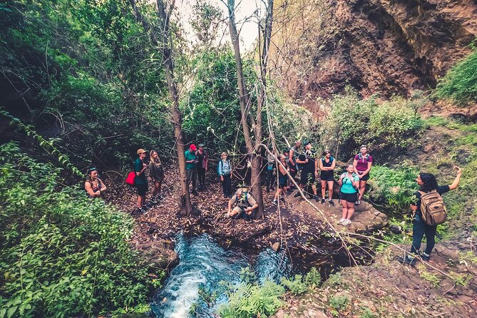 Full Day Rainforest Tour With Tasting and Swimming Time - Activities and Scenic Locations