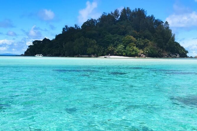 Full Day Reef Safari - St Anne Marine Park Seychelles - Booking Information
