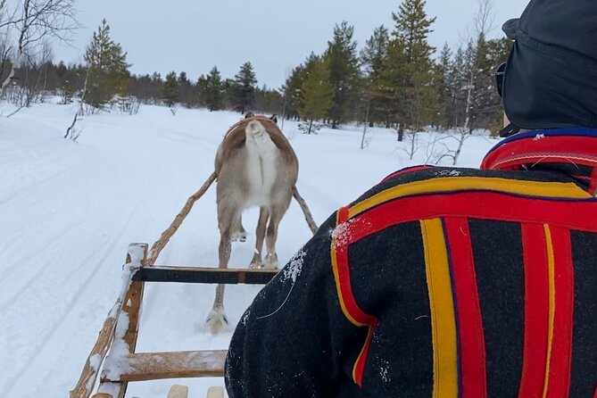 Full-Day Reindeer Tour With Pickup in Kiruna - Tour Overview and Inclusions