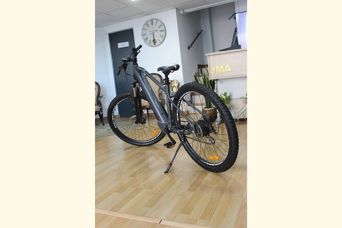 Full Day Rental of Electric Mountain E-Bike - Inclusions