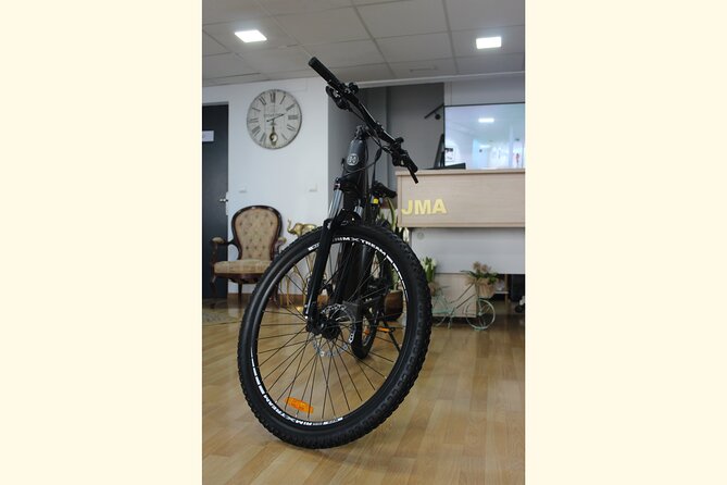 Full Day Rental of Electric Mountain E-Bike - Requirements and Accessibility