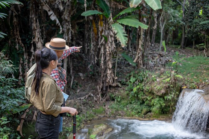 Full-Day Rescued Elephant Walk With Guide Tour in Khaolak - Directions