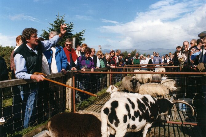Full-Day Ring of Kerry Tour From Killarney - Common Questions