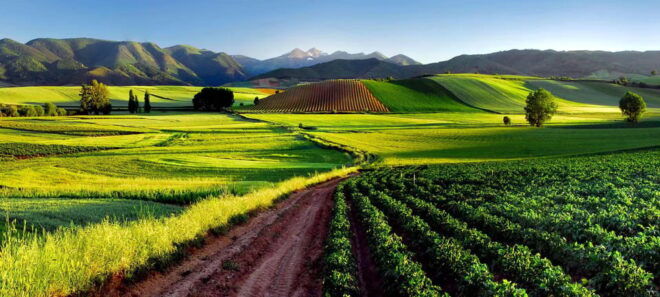Full-Day Rioja Wineries Tour From Madrid - Language and Group