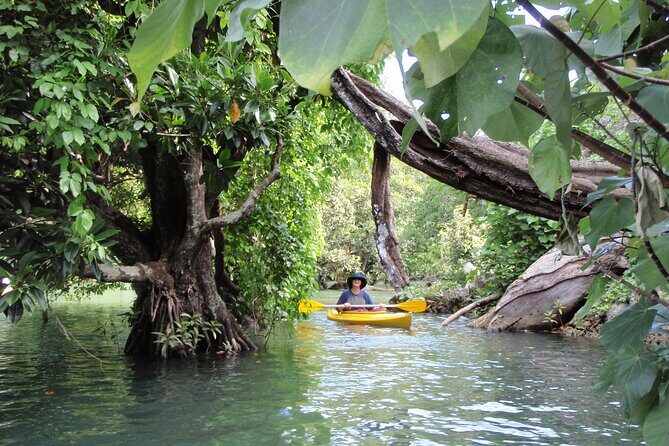 Full Day River Kayaking & Cascades from Port Vila - Good To Know