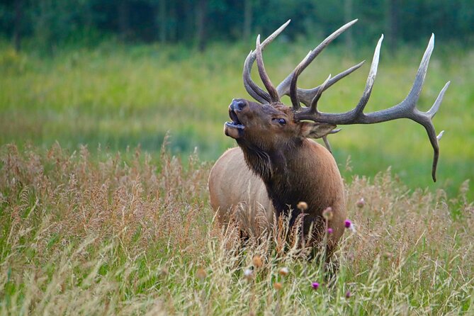 Full-Day Rocky Mountain National Park "Over The Top Tour" - RMNPhotographer - Directions