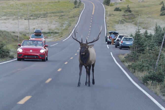 Full-Day Rocky Mountain National Park "Over The Top Tour" - RMNPhotographer - Alpine Visitor Center