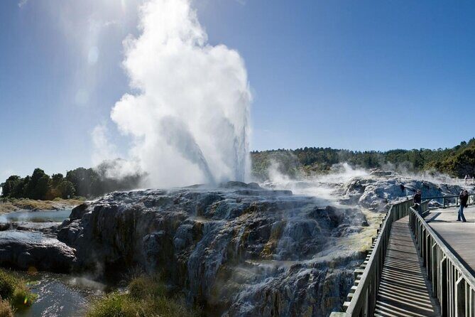 FULL DAY ROTORUA TOUR - Fully Customisable 13 hours Unlimited KMS - Why Consider This Tour?