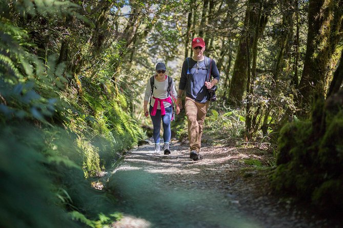 Full-Day Routeburn Track Key Summit Guided Walk From Te Anau - Overview of the Experience