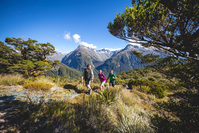 Full-Day Routeburn Track Key Summit Guided Walk From Te Anau - Meeting and Pickup