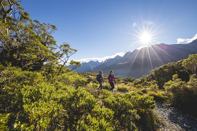 Full-Day Routeburn Track Key Summit Guided Walk From Te Anau - The Sum Up