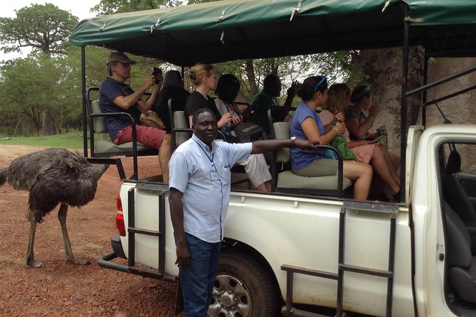 FULL-DAY SAFARI and PINK LAKE TOUR (Minimum 2 Pax) - Tour Highlights