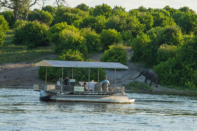 Full-Day Safari Chobe National Park - Good To Know
