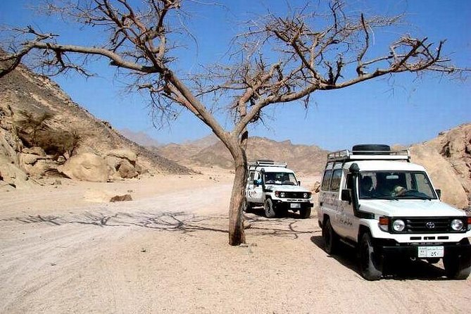Full-Day Safari Desert Tour in Hurghada by Jeep - Tour Overview