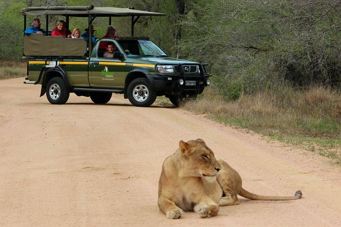 Full Day Safari - Kruger National Park - Reviews and Pricing Information