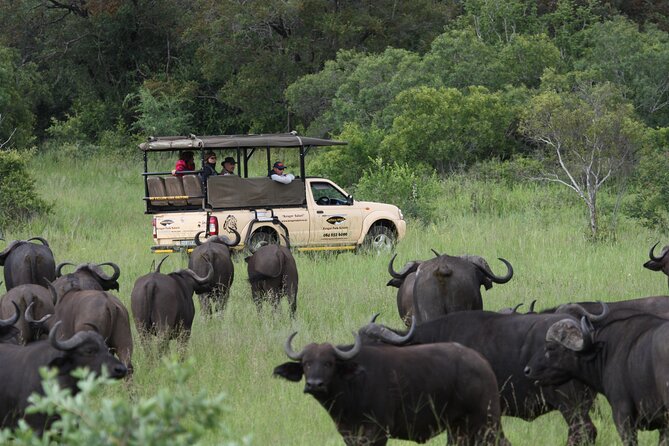 Full Day Safari Shared Tour at Kruger National Park - Common Questions