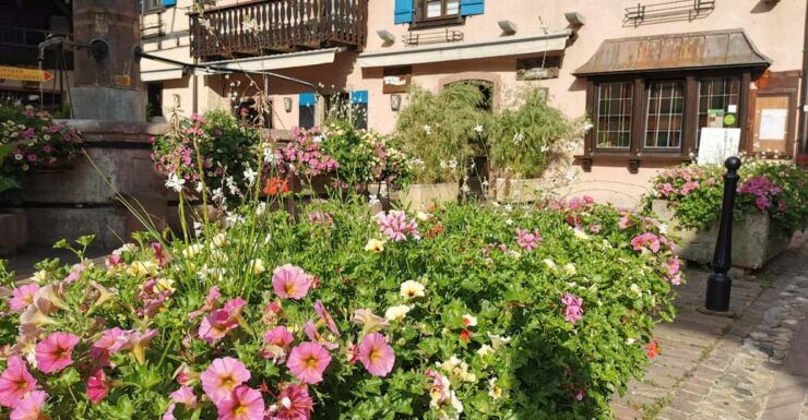 Full Day Safari Tour Villages & Vineyards Wine Tasting - Experience Highlights