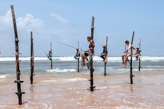 Full Day Safari Tour Yala - The Sum Up: Who Will Love This Safari?