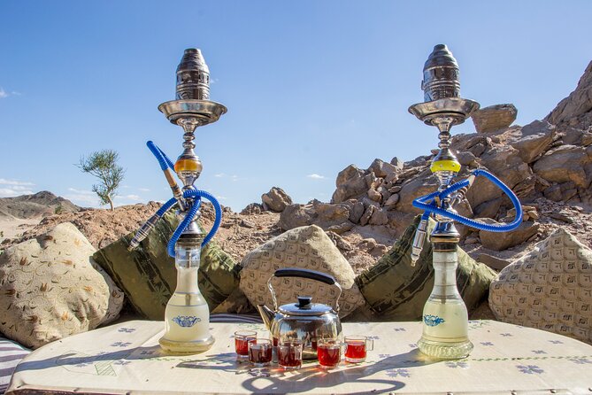 Full Day Safari With ATV Quad and Camel Ride From Marsa Allam - Pricing and Guarantee