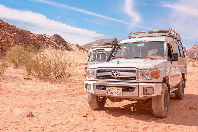 Full-Day Safari With Camel, Atv, Quad and Buggy Tour in Hurghada - Reviews