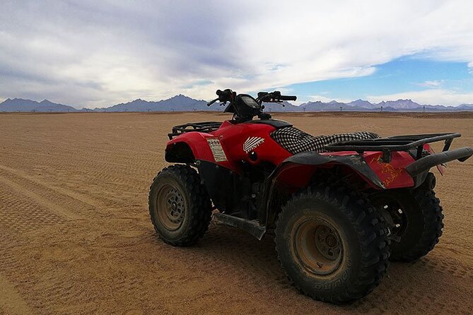 Full-Day Safari With Camel, Atv, Quad and Buggy Tour in Hurghada - Itinerary