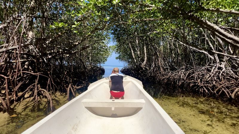 Full Day Sail to Nusa Lembongan - Devil Tears, mangroves and the seaweed farm