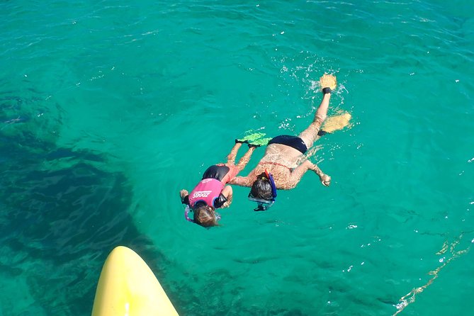 Full Day Sail to Rottnest Island From Fremantle - Overview and Activities