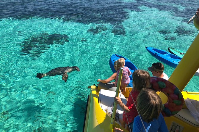 Full Day Sail to Rottnest Island From Fremantle - Inclusions and Meeting Details