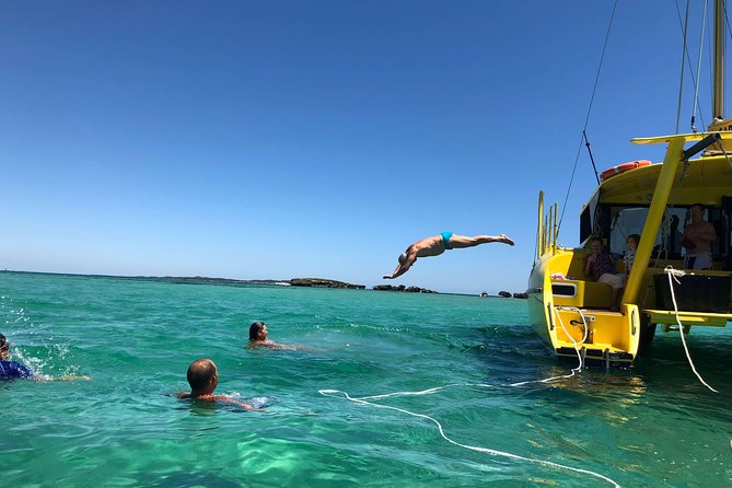 Full Day Sail to Rottnest Island From Fremantle - Common Questions