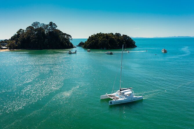 Full-Day Sailing Adventure in the Abel Tasman National Park - Price and Terms & Conditions