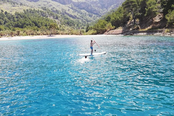 Full-Day Sailing Excursion Along the Coast - Overview and Whats Included