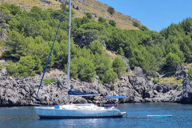 Full-Day Sailing Excursion Along the Coast - Common Questions