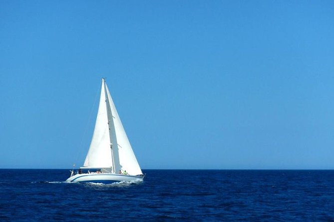Full-day Sailing Experience in Menorca - Reviews and Contact